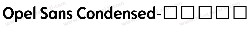 Opel Sans Condensed字体转换